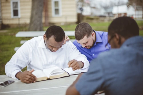 أهمية التوجيه المهني في الإرشاد التربوي